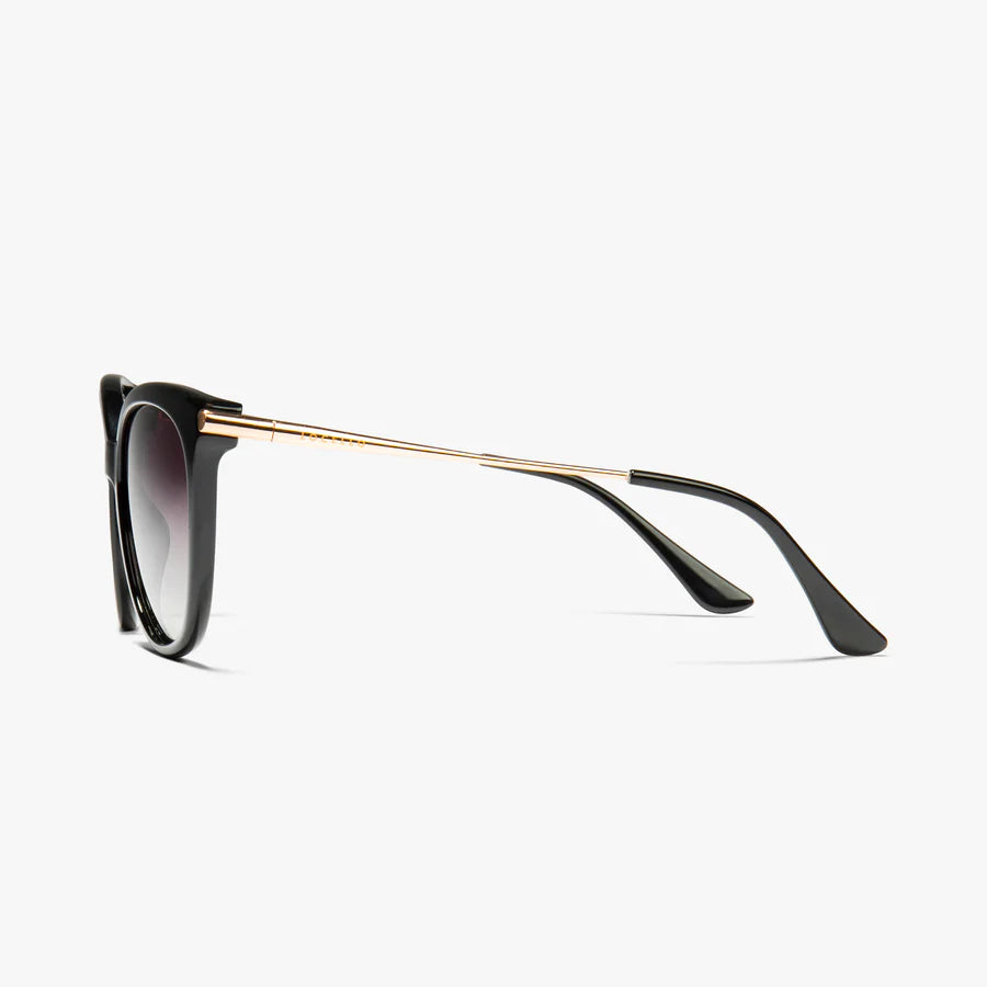 ashley - black SUNGLASSES LOCELLO