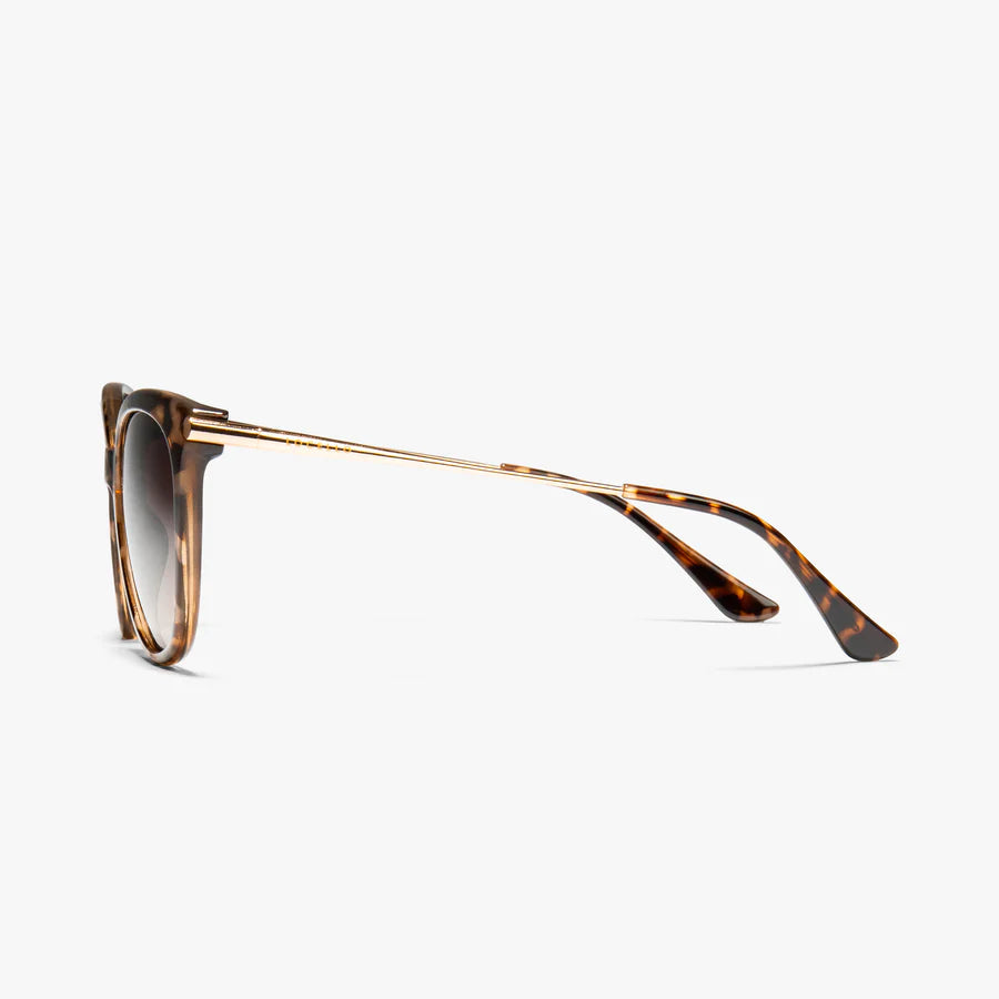 ashley - tortoiseshell SUNGLASSES LOCELLO