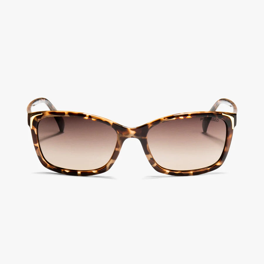 little letica - milky tortoiseshell SUNGLASSES LOCELLO