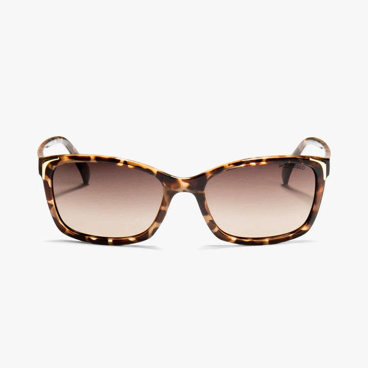 little letica - milky tortoiseshell SUNGLASSES LOCELLO