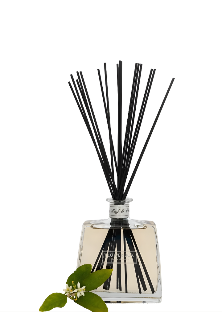 Flower Box Hallmark Diffuser | Fig Leaf & Cedar