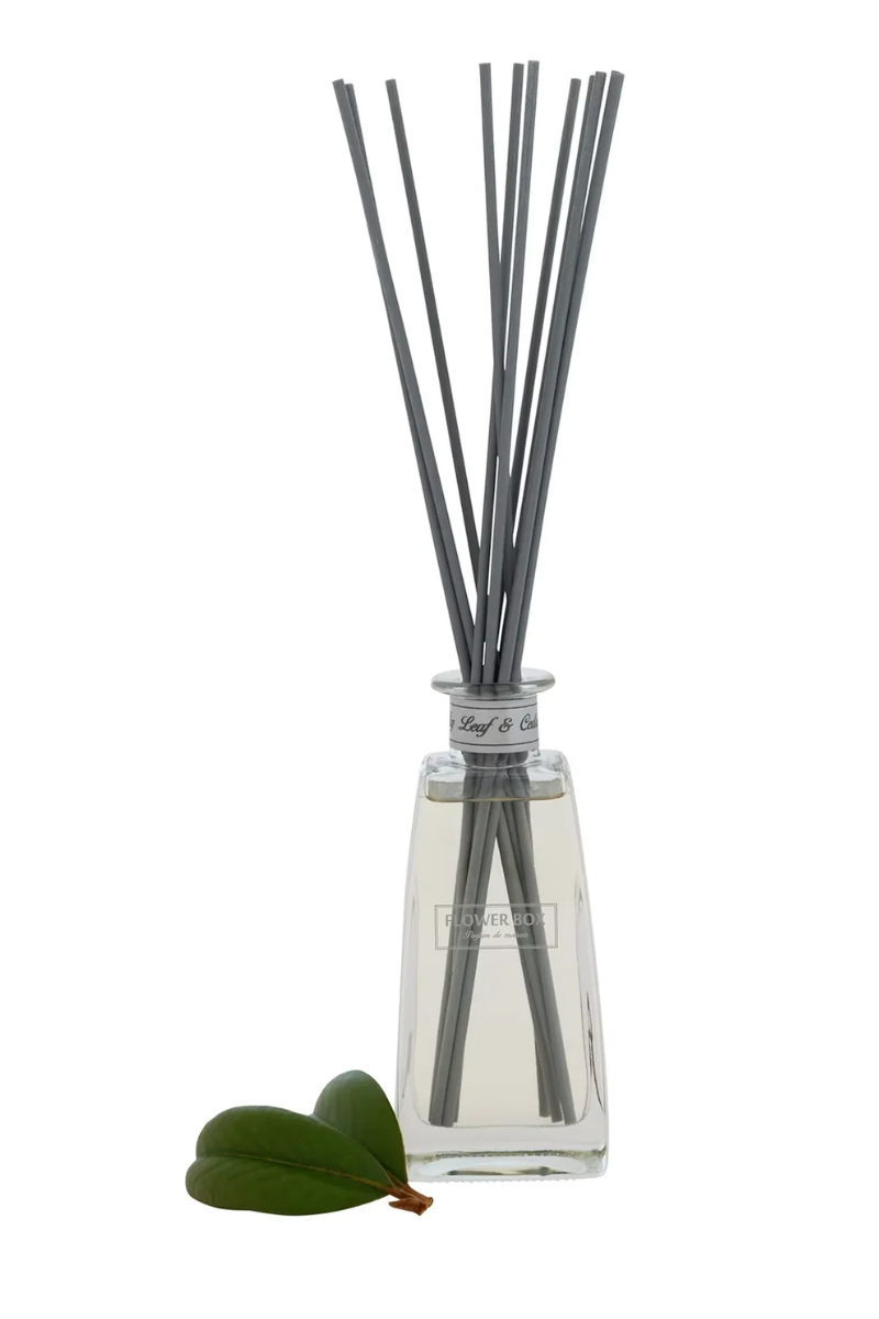Flower Box Standard Diffuser | Fig Leaf & Cedar