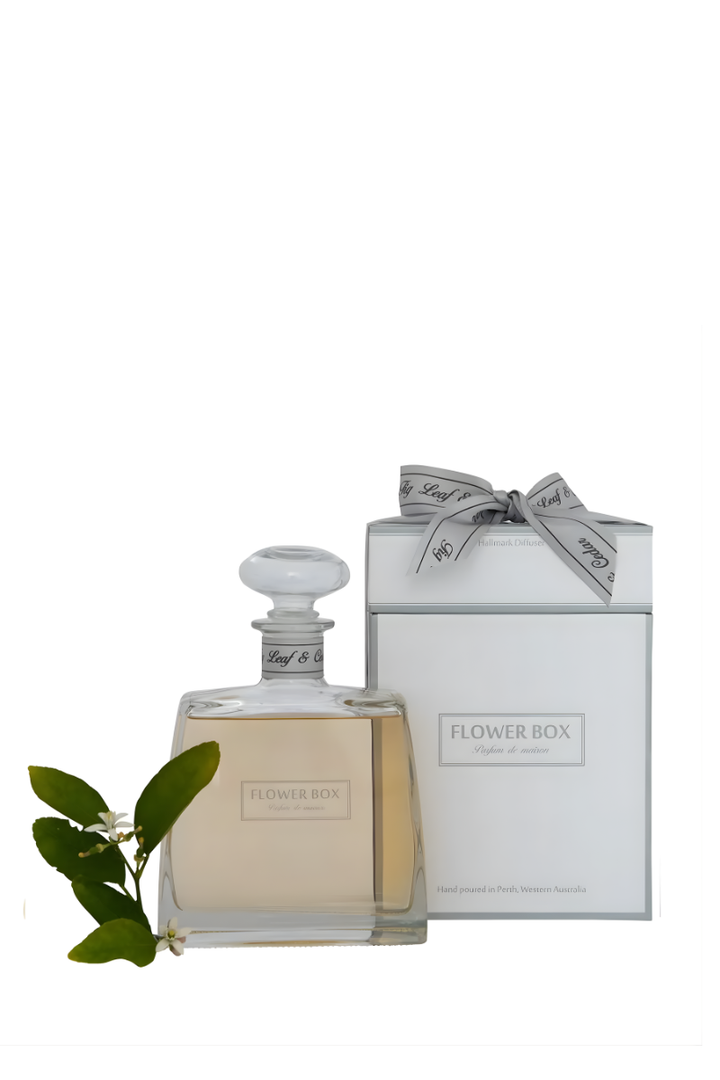 Flower Box Hallmark Diffuser | Fig Leaf & Cedar