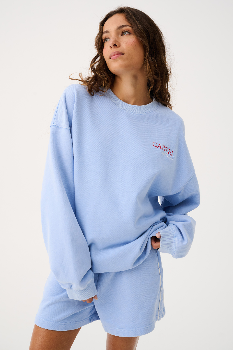 Person wearing a light blue sweatshirt with 'Cartel' logo on a white background