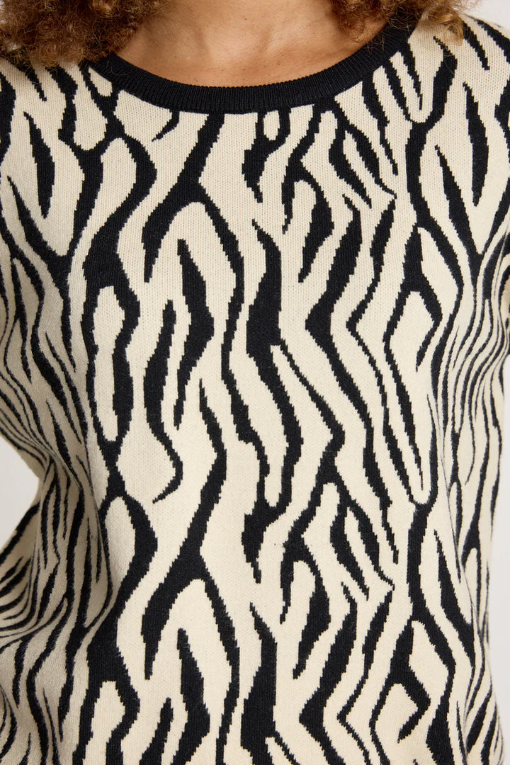 close up of Zala Jumper in Savanna