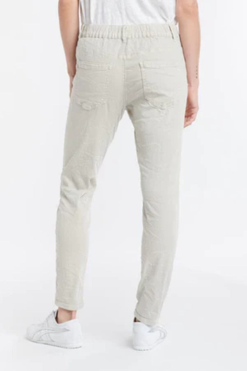 Ivy-Vibe-Ema-Jean-Image