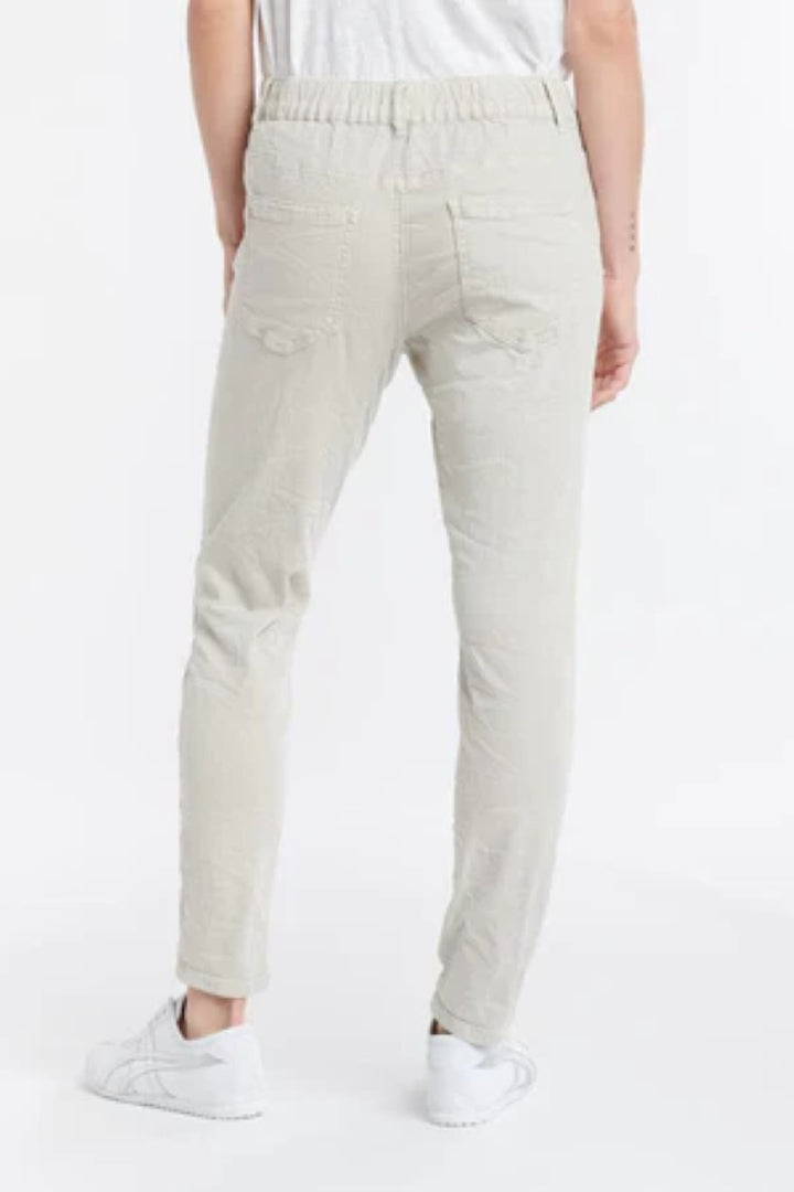 Ivy-Vibe-Ema-Jean-Image