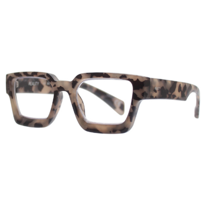 Reality Welsh Reader | Grey Turtle