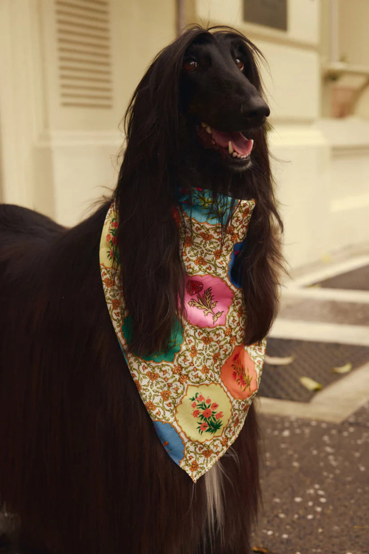 Dog wearing a colorful bandana with floral patterns on a street.